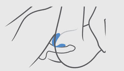 The Adventurer Curve